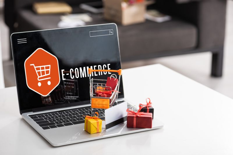 Gestores Online para el Desarrollo de Sitios Web y E-commerce: Práctica Profesional